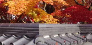 Video du lịch: Thưởng ngoạn mùa Thu Kyoto (2/2)