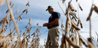 Video Trung Quốc có thi hành được thỏa hiệp ký kết không? (2/2)