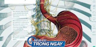 Video Điểm tin trong ngày Virus Corona có thể lây qua đường tiêu hoá