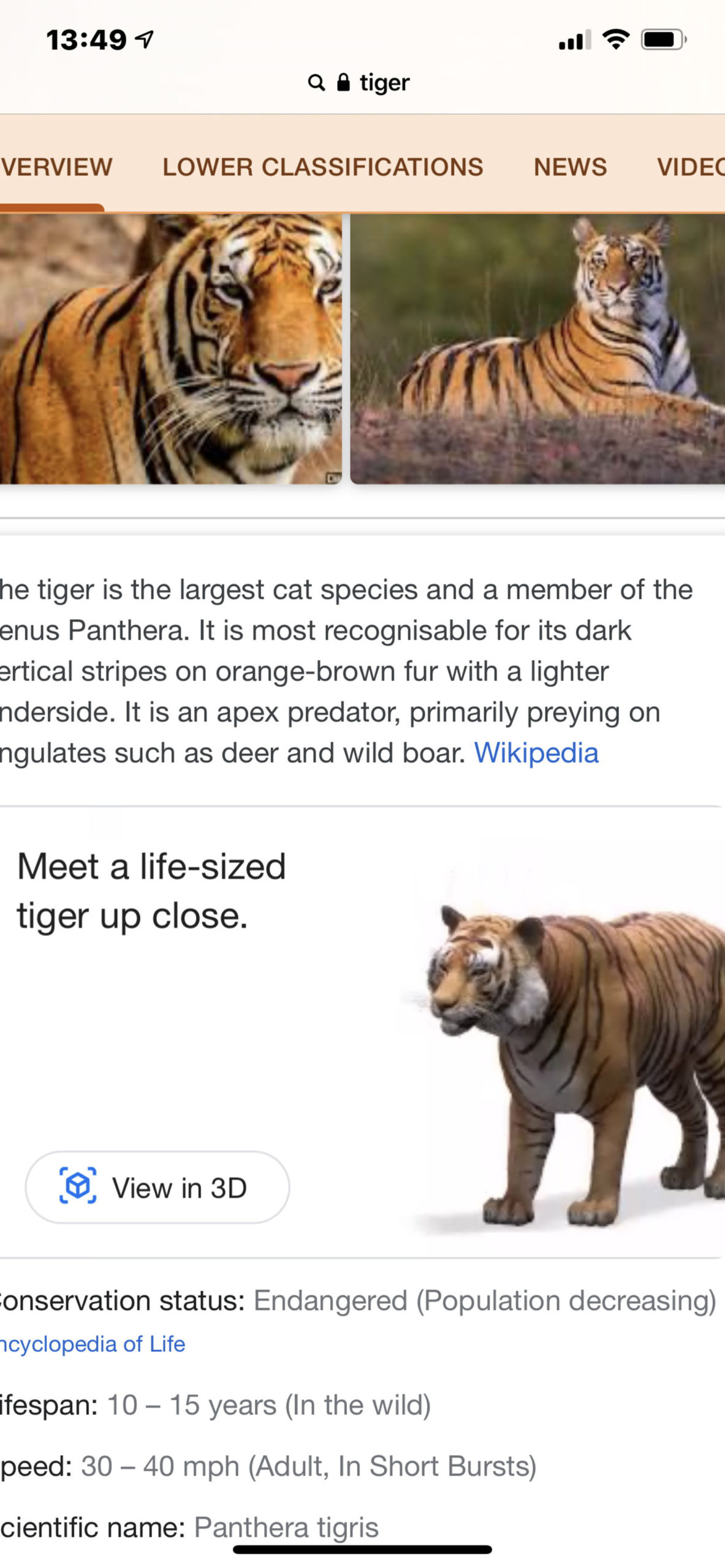 Xem 3D các loài vật trên Google Search