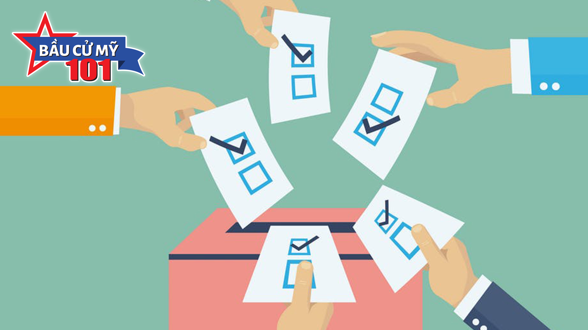 Video Cử tri đoàn là ai và họ đóng vai trò gì trong bầu cử?