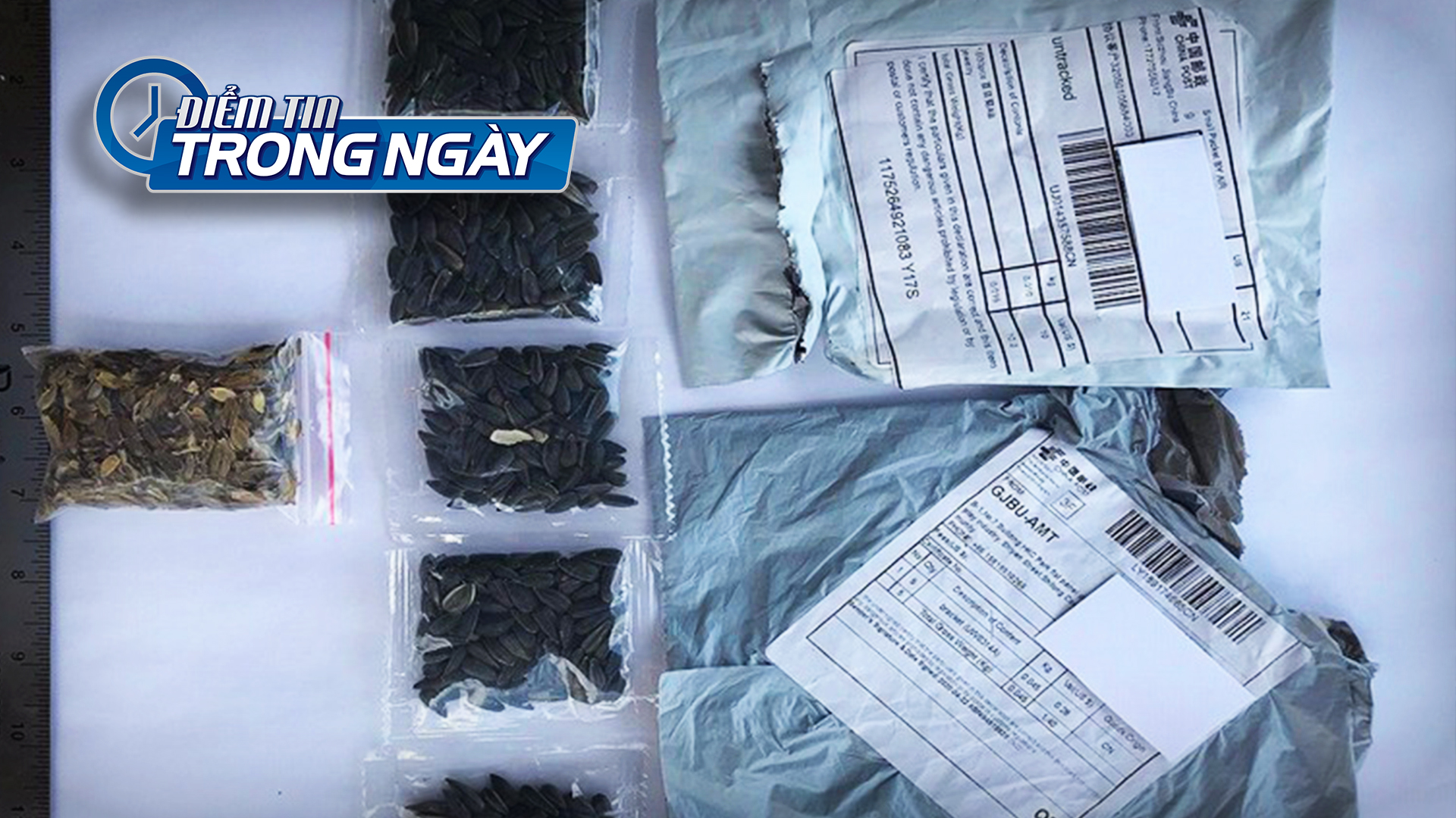 Video Mối nguy an ninh sinh học toàn cầu từ hạt giống bí ẩn