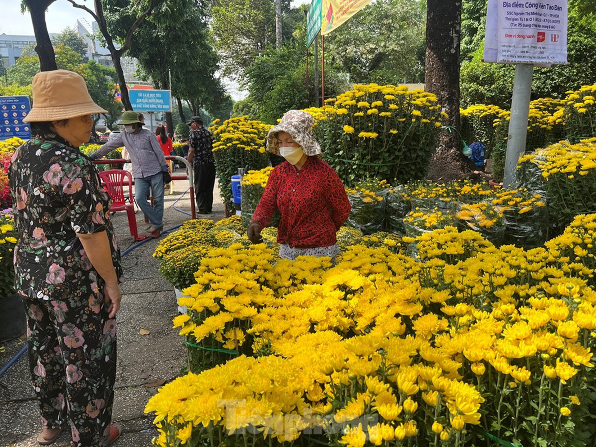 Chợ hoa Tết ở Sài Gòn ‘chưa bao giờ ế như năm nay’