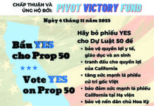 Bầu Yes cho Prop 50
