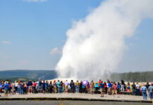 Thưởng ngoạn thắng cảnh Yellowstone