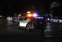 Một ông ở Los Angeles bắn chết 2 con trai sinh đôi rồi tự tử