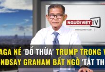MAGA né ‘đổ thừa’ Trump trong vụ Lindsay Graham bất ngờ ‘tắt thở’