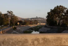 California yêu cầu Orange County tạm dừng dọn cây tại San Juan Creek và Trabuco Creek