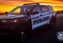 Ông gốc Việt ở Washington thú nhận đốt nhà trước khi đối đầu với SWAT