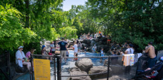 Số người chết do nắng nóng tại New Jersey tăng lên 29 người