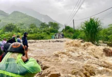 Lai Châu, Sơn La ‘tan hoang’ sau lũ, ít nhất 1 người chết