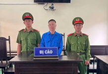 Trộm 3 con bò, ông Quảng Ngãi lãnh 15 tháng tù