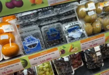 ‘Việt quất Mộc Châu’ được… nhập lậu từ Trung Quốc