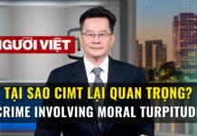Tại sao CIMT lại quan trọng? (Crime Involving Moral Turpitude)