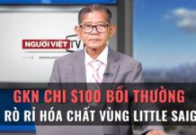 GKN chi $100 triệu bồi thường vụ rò rỉ hóa chất vùng Little Saigon