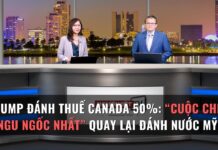 Trump Đánh Thuế Canada 50%: “Cuộc Chiến Ngu Ngốc Nhất” Quay Lại Đánh Nước Mỹ?