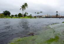 Bão Lala vùi dập Hawaii, ít nhất một người thiệt mạng