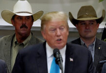 MAGA phản đối Trump hoãn tariff cho nhập cảng thịt bò