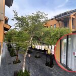Nữ thực tập sinh Việt kiều bị cưỡng dâm ở Phú Thọ