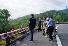 Đà Nẵng: Khỉ hoang xuống phố quậy phá khắp nơi