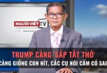 Trump càng ‘sắp tắt thở’ càng giống con nít, các cụ nói cấm có sai!