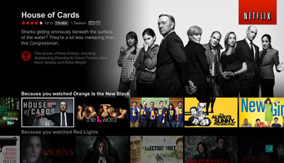 Netflix new look
