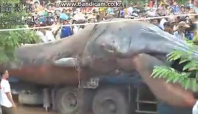 monster found in Vietnam