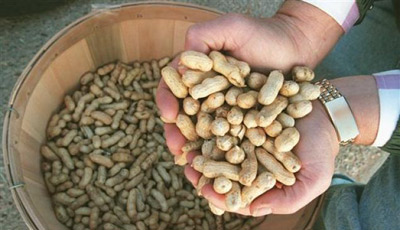 peanuts