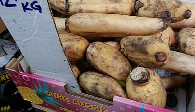 You’ve plucked “fresh” produce from cardboard boxes