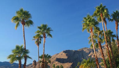 PALM SPRINGS