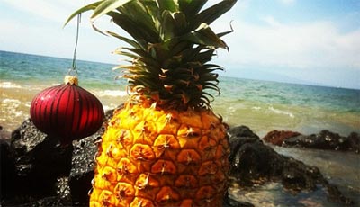 Christmas Tree Hawaii