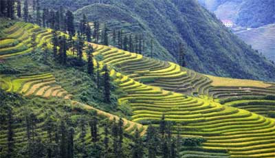 Sapa: best for walking
