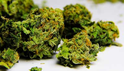 pot