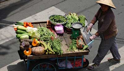 vietnam vegetables vendor