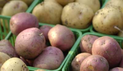 Potatoes