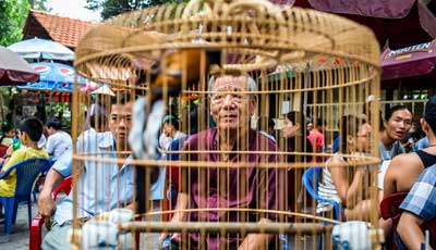 bird park