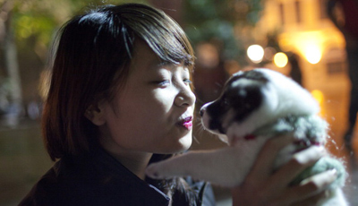Thieves cash in on growing emotional value of pet dogs