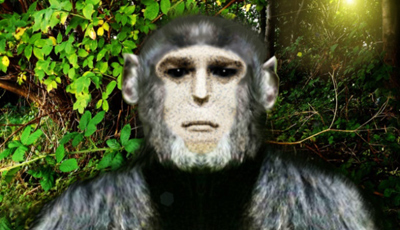 Strange creatures living in Vietnam?