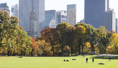 One perfect day: 24 hours in New York City
